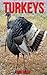 Turkeys: Children Book of Fun Facts & Amazing Photos on Animals in Nature - A Wonderful Turkeys Book for Kids aged 3-7