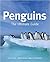 Penguins by Tui De Roy