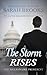 The Storm Rises (The Billio...