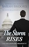 The Storm Rises (The Billionaire President, #1)
