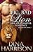Big Bad Lion (Fighter Lion, Book 2)