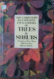 The Gardener's Illustrated Encyclopedia of Trees & Shrubs: A Guide to More Than 2000 Varieties (Hardcover)