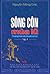 Sông Côn mùa lũ (#1)