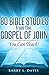 80 Bible Studies on the Gospel of John: You Can Teach! (Bible Studies You Can Teach)