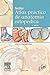 Netter. Atlas práctico de anatomía ortopédica (Spanish Edition)