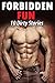 FORBIDDEN FUN - 10 Tales of Filthy Stories! Taboo Brat Encounters... Naughty Older Men, Untouched Younger Women -- Mature Short Story Adult Romance Bundle