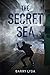 The Secret Sea