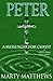 Peter: A Messenger For Christ: A Novel from ACTS, Book 1 (Novels From Teachings of The Bible 2)