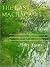 The Last Machaca by Aleks Lyons