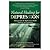 Natural Healing for Depression: Solutions from the World's Great Traditions And Practitioners