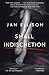 A Small Indiscretion: A Novel