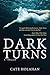 Dark Turns