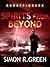 Spirits from Beyond (Ghost Finders, #4)