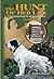 The Hunt of Her Life Sequel: A captivating journey that will touch your heart (#2)