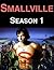 Smallville by Michael DeLong