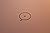 illiterature. issue v. the ...