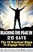 Reaching the Peak in 20 days: The 10 practical steps to engage your life: Be the Victory you want to be!