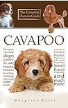 Cavapoo; Cavoodle...