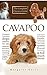 Cavapoo; Cavoodle; dogs; puppies; for sale; rescue; breeders;... by Margaret Davis
