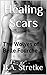 Healing Scars (The Wolves of Belle Fourche, #3)