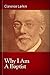 Why I Am A Baptist (Clarence Larkin Collection Book 7)