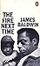 The Fire Next Time by James Baldwin