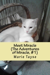 Meet Miracle (The Adventures of Miracle #1)