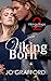 Viking Born (Vikings Saga #2)