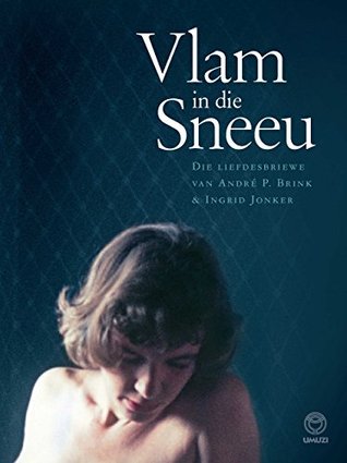 Vlam in die Sneeu: Die Liefdesbriewe (Kindle Edition)