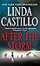 After the Storm (Kate Burkholder #7)