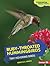 Ruby-Throated Hummingbirds: Tiny Hovering Birds (Comparing Animal Traits)