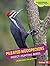 Pileated Woodpeckers: Insec...