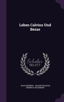 Leben Calvins Und Bezas