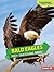 Bald Eagles: Prey-Snatching...