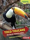 Toco Toucans: Big-Billed Tropical Birds