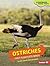 Ostriches: Fast Flightless ...
