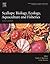 Scallops: Biology, Ecology, Aquaculture, and Fisheries (Volume 40) (Developments in Aquaculture and Fisheries Science, Volume 40)