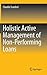 Holistic Active Management of Non-Performing Loans (Springerbriefs in Finance)