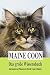 Maine Coon - Das große Wissensbuch by Carolin Müller