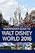 The Independent Guide to Walt Disney World 2016 (Travel Guide Book)