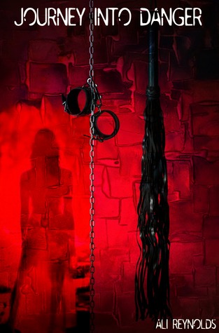 Journey into Danger (Journey Trilogy, #1)