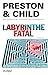 Labyrinthe fatal (French Edition)