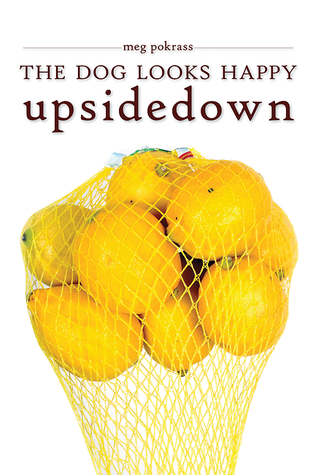 The Dog Looks Happy Upside Down (Paperback)