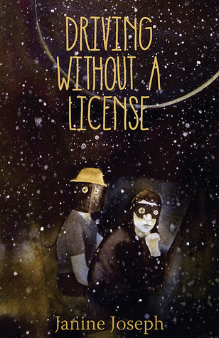 Driving Without a License (Paperback)