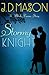 Stormy Knight by J.D. Mason Stormy Knight by J.D. Mason