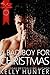 A Bad Boy for Christmas (Ja...