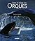 Dans le sillage des orques by Jean-Pierre Sylvestre