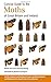 Concise Guide to the Moths ...