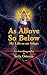 As Above, so Below: Experie...