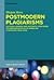 Postmodern plagiarisms : cultural agenda and aesthetic strategies of appropriation in US-American literature (1970-2010)